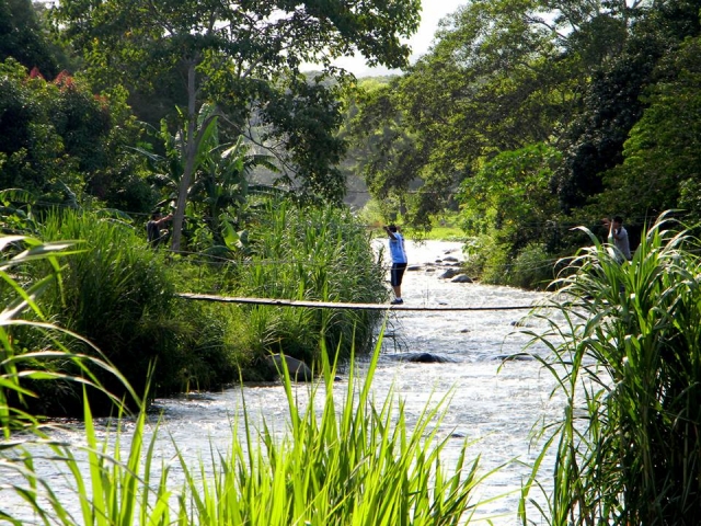 Puentes colgantes